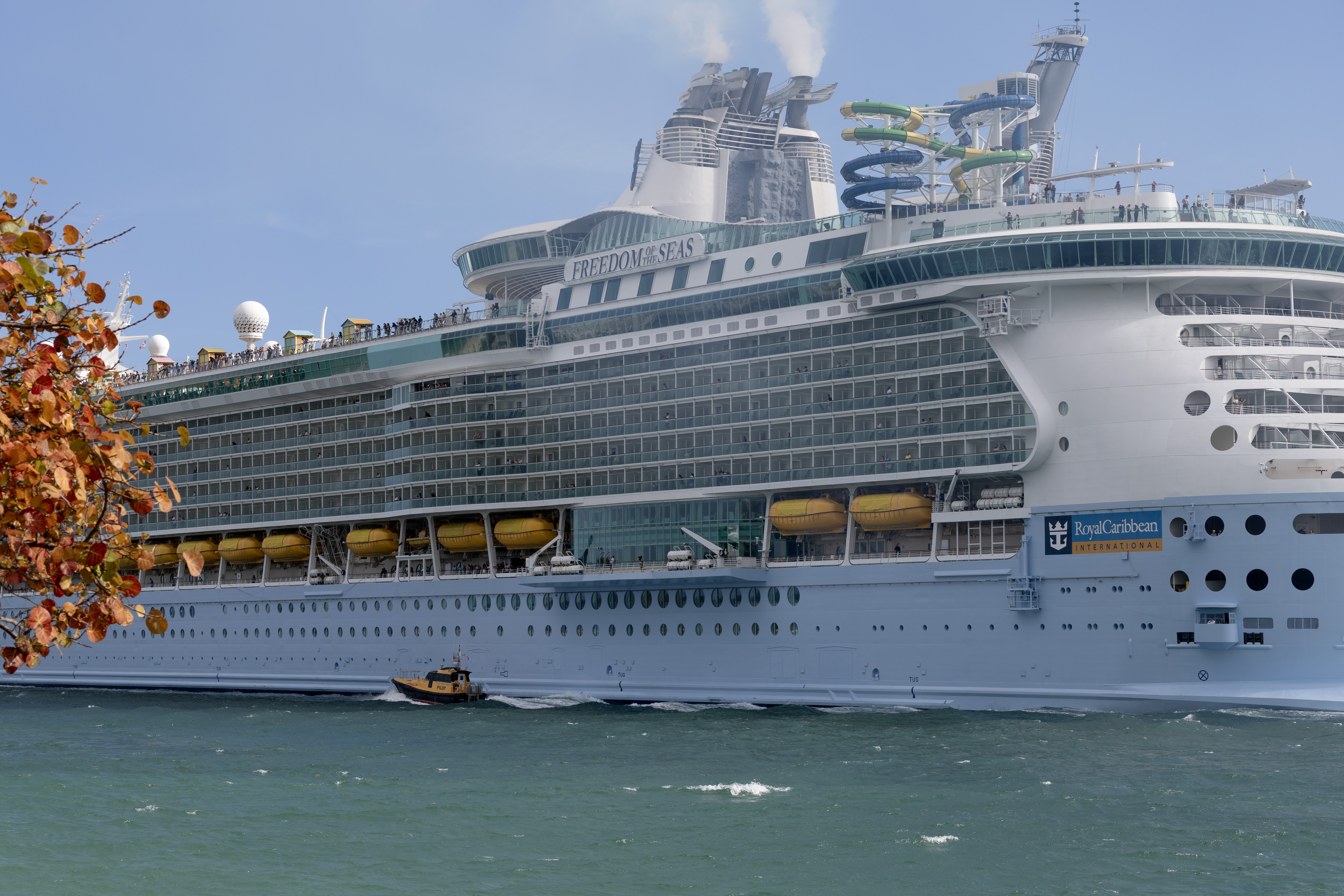 Thousands Hit By Royal Caribbean Cruise Cancellations: What To Know