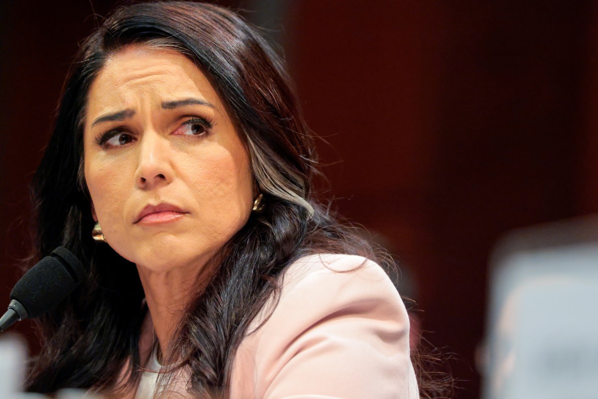 Laura Loomer predicts Tulsi Gabbard will resign - what are the odds?