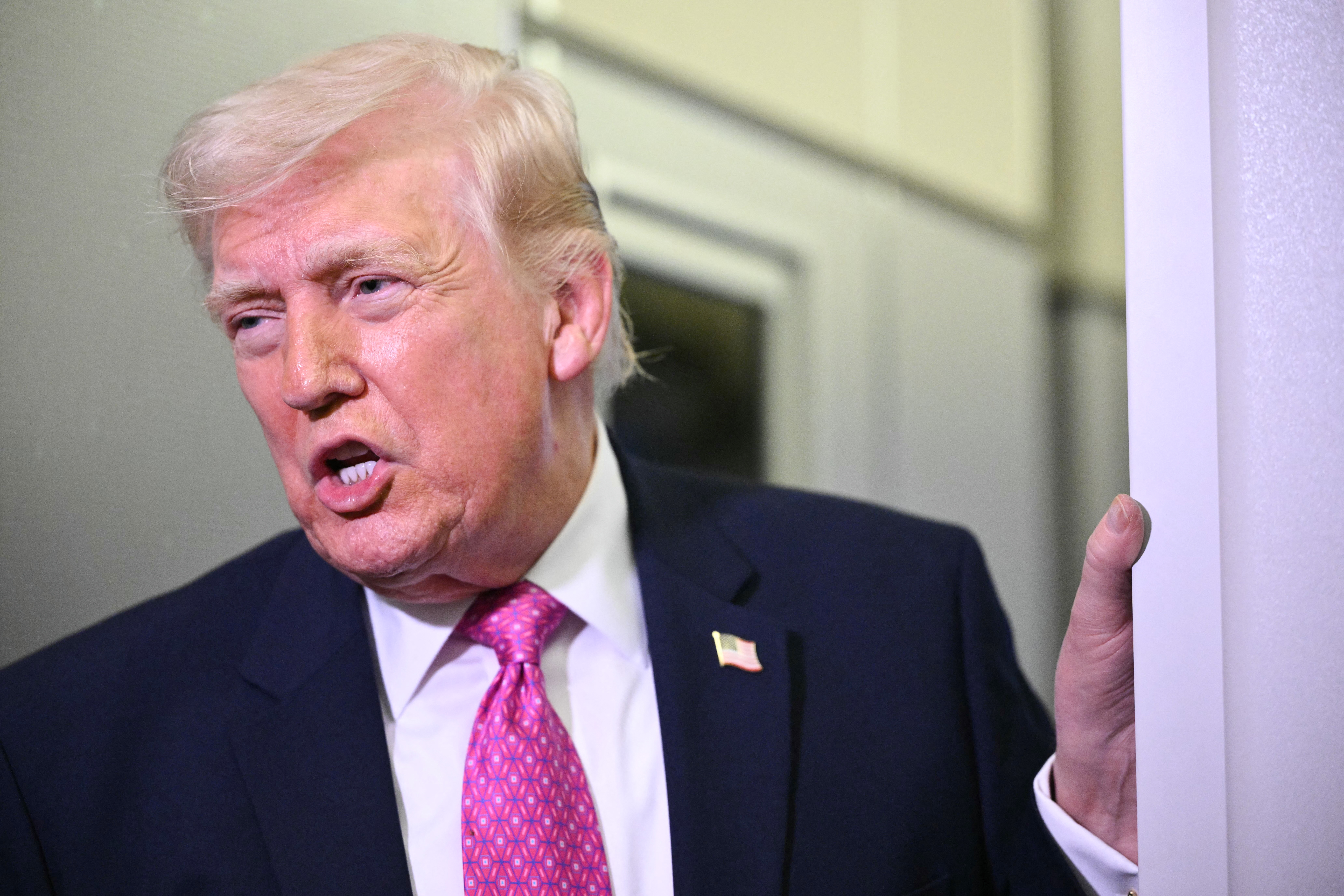 Fact Check: Is the US the Only Country with Birthright Citizenship?