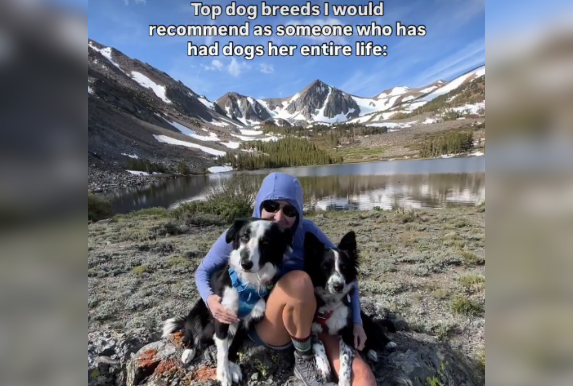 Tears As Woman Who Has Owned Dogs Entire Life Recommends Best 'Breeds'