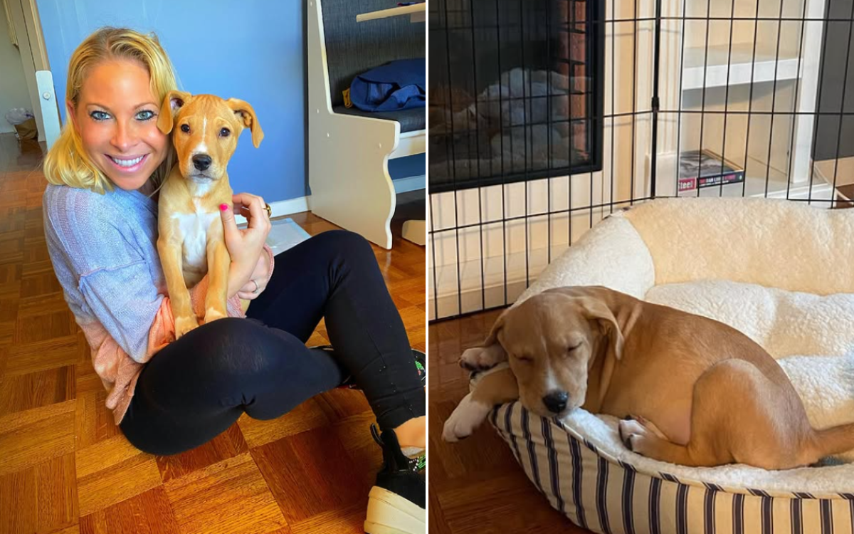 Woman Thought She Was Adopting Chihuahua, But Then He Kept Growing