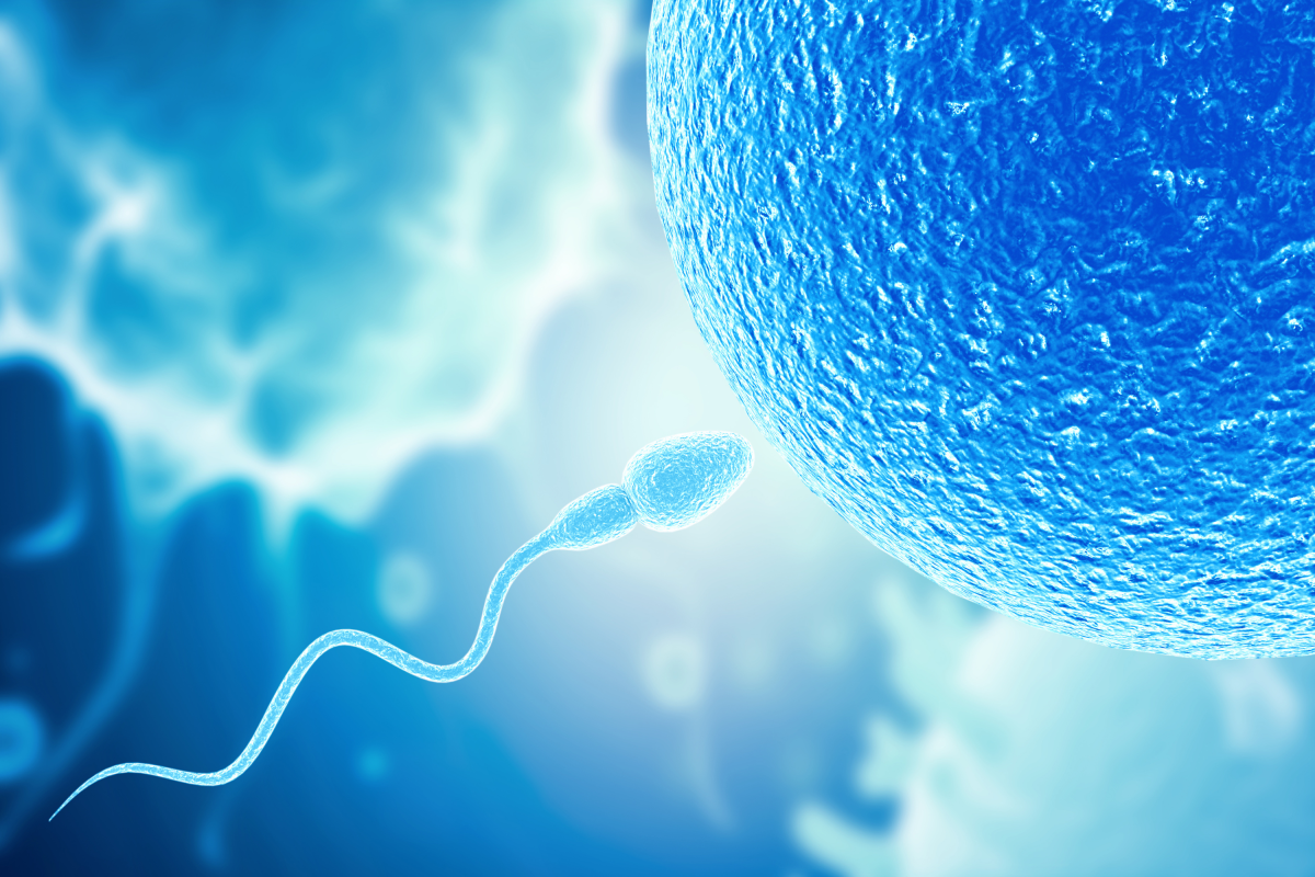 Men’s Sperm Performance May Decrease After a Period of Abstinence