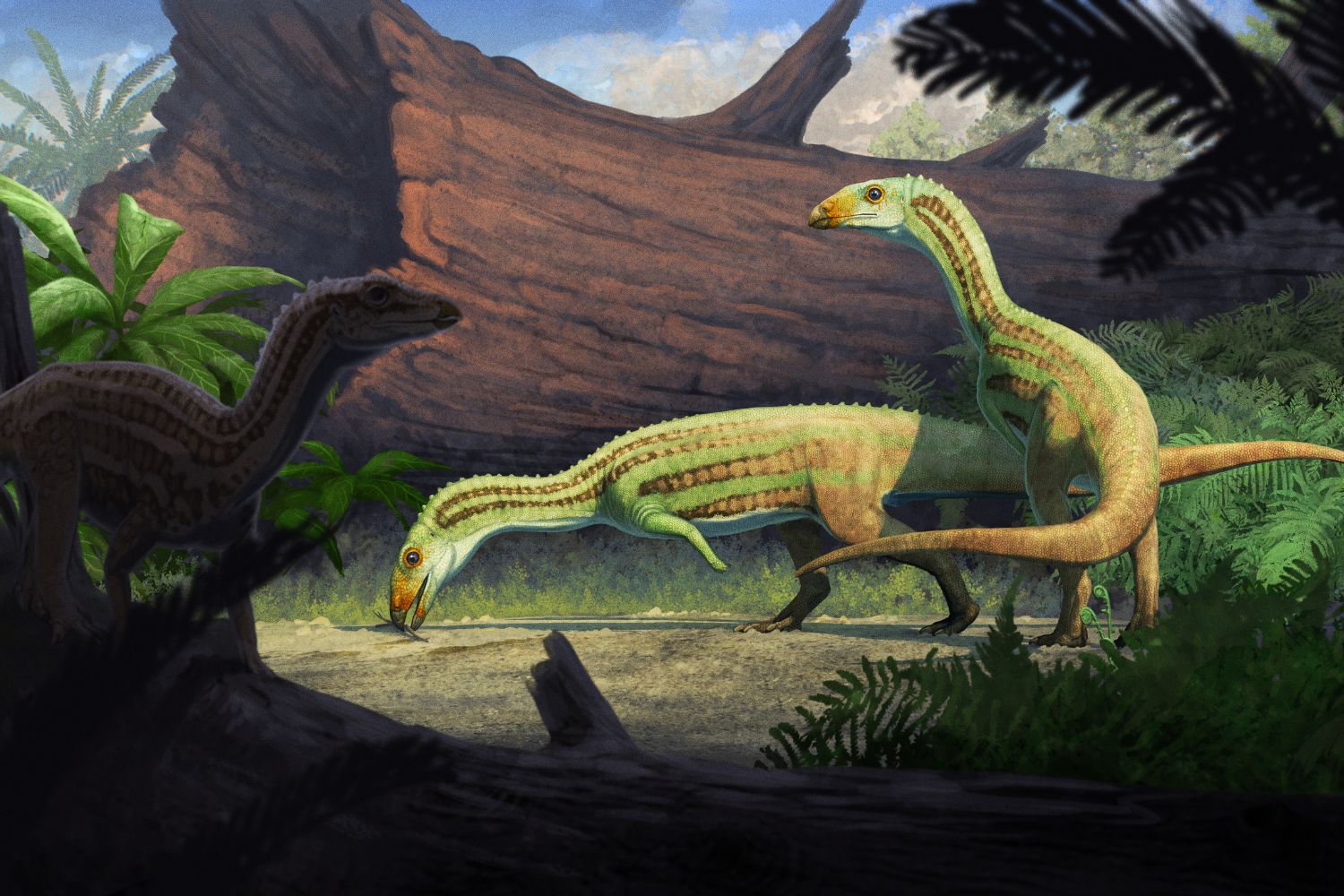 Ancient Croc That Walked on Two Legs Found in Petrified Forest