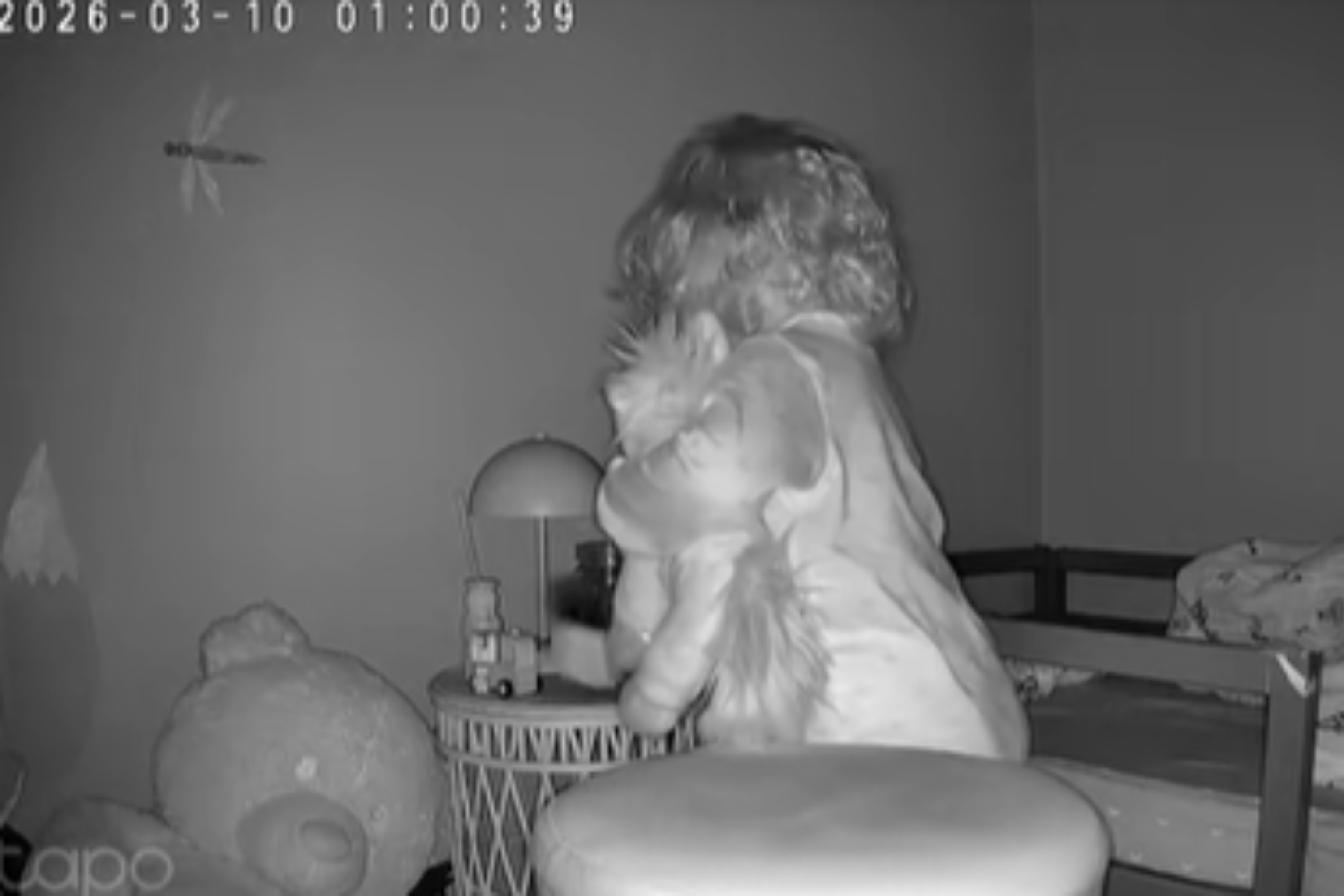 Toddler Wakes Up at 1AM, Hysterics at What Mom Notices on Baby Cam