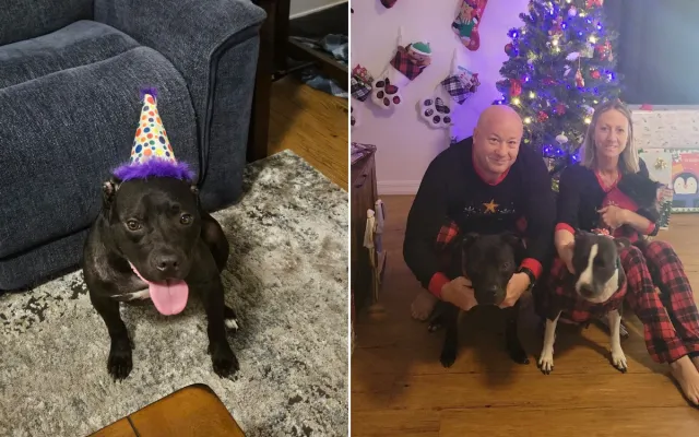 Eli the dog and Michael Criss.