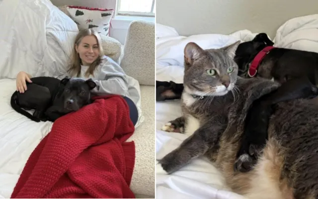 Eli's foster carer Makenna Carew and her cat Loki.