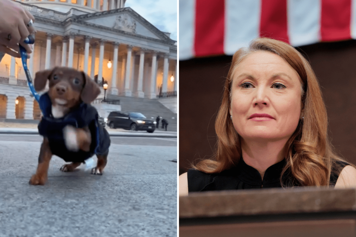 Internet Obsessed With How Rep. Melanie Stansbury Celebrates Noem Firing