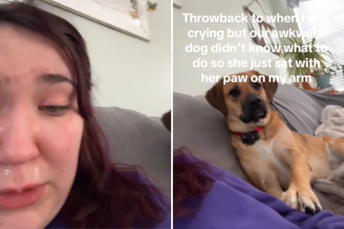 Owner not prepared for what rescue dog does when she starts crying