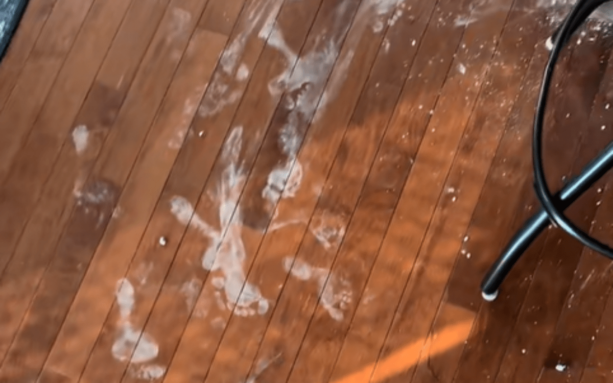 Uma mãe dá as costas aos filhos por 1 minuto e sabe que é um ‘erro de novato’