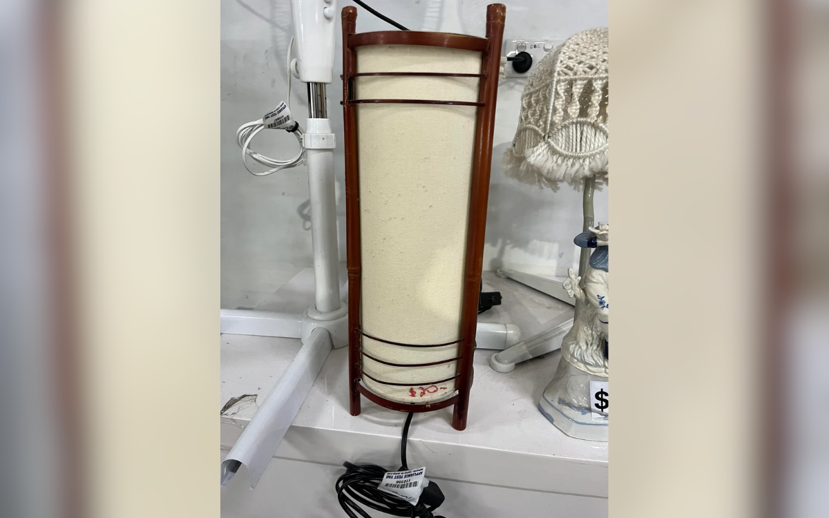 Woman Sees ‘Nice Lamps’ In Thrift—Disbelief at What’s Written on the Bottom