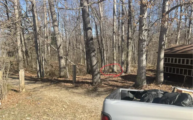 The spot where Justin found the Ruby