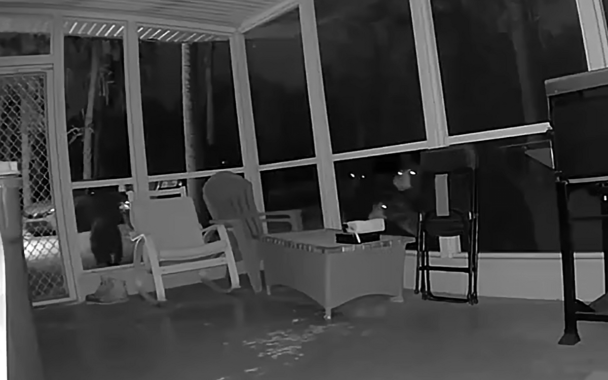 Mom Nursing Baby One Night Gets Ring Alert, Unprepared For What’s Outside