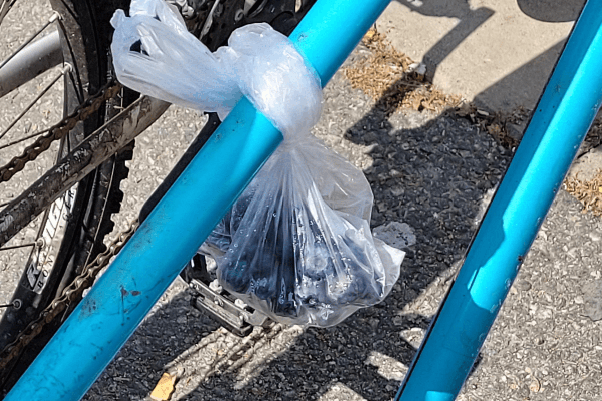 Unexpected Kindness: The Blueberry Surprise on a Cyclist's Bike