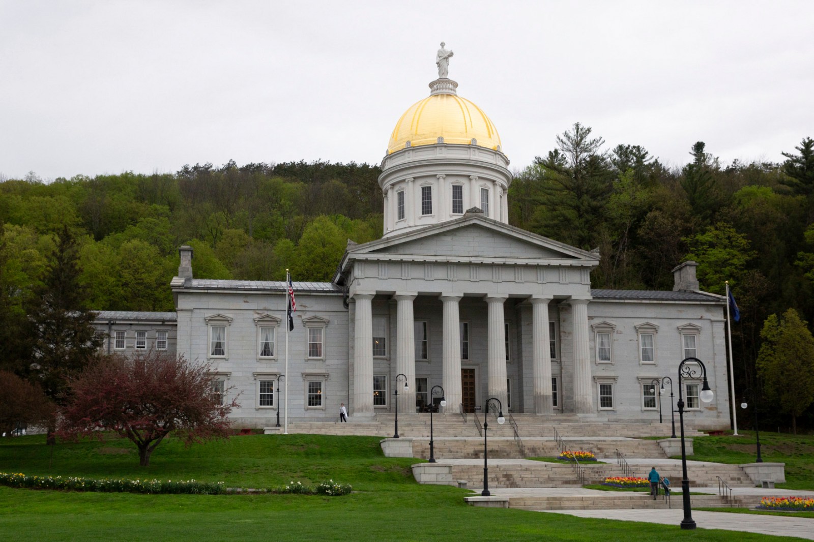 newsweek.com - Mandy Taheri - How Democrat Amanda Janoo plans to defeat America's most popular governor