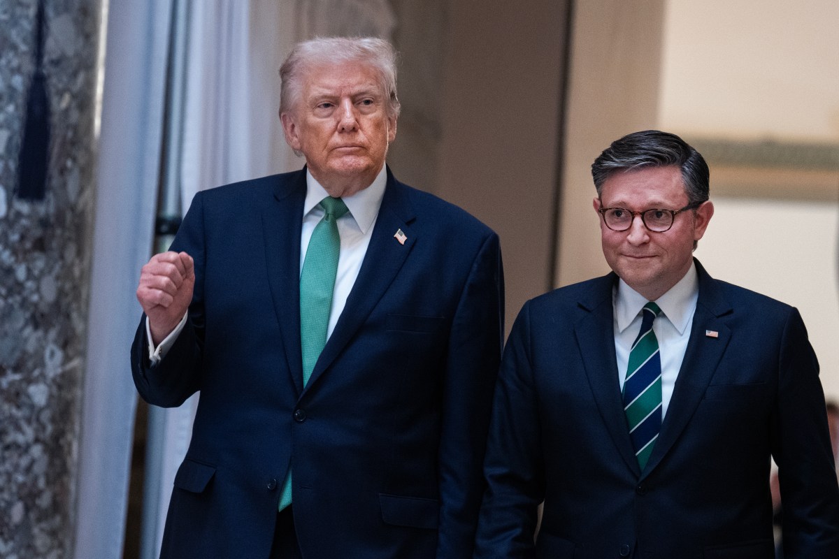 Mike Johnson Describes Talk With Donald Trump Over AI Jesus Image