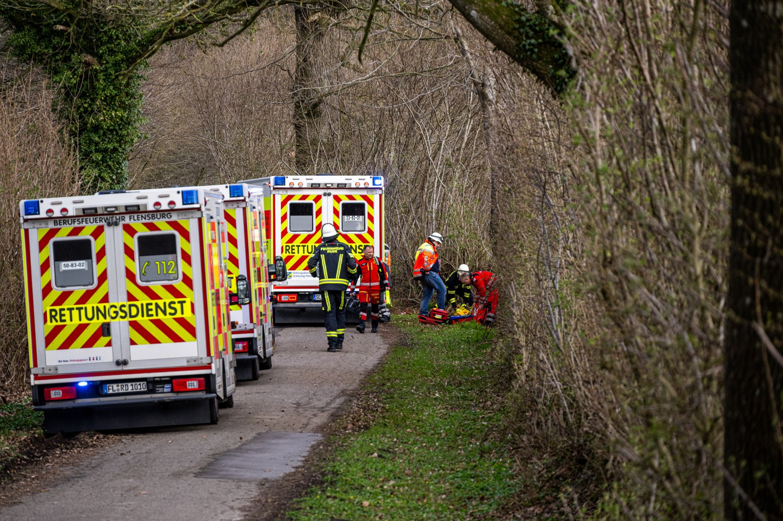 Three People, Including Infant, Killed by Falling Tree at German Care Facility Easter Event