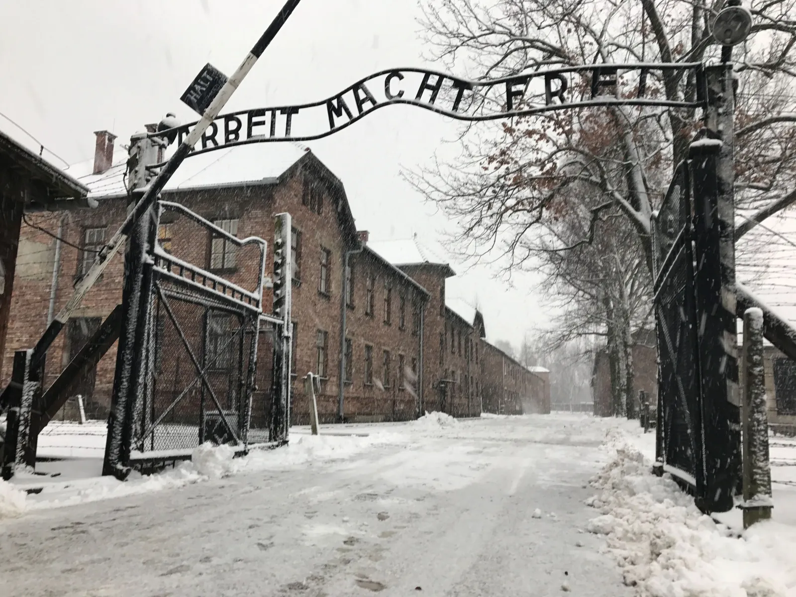 Americans Arrested For Breaking Into Auschwitz