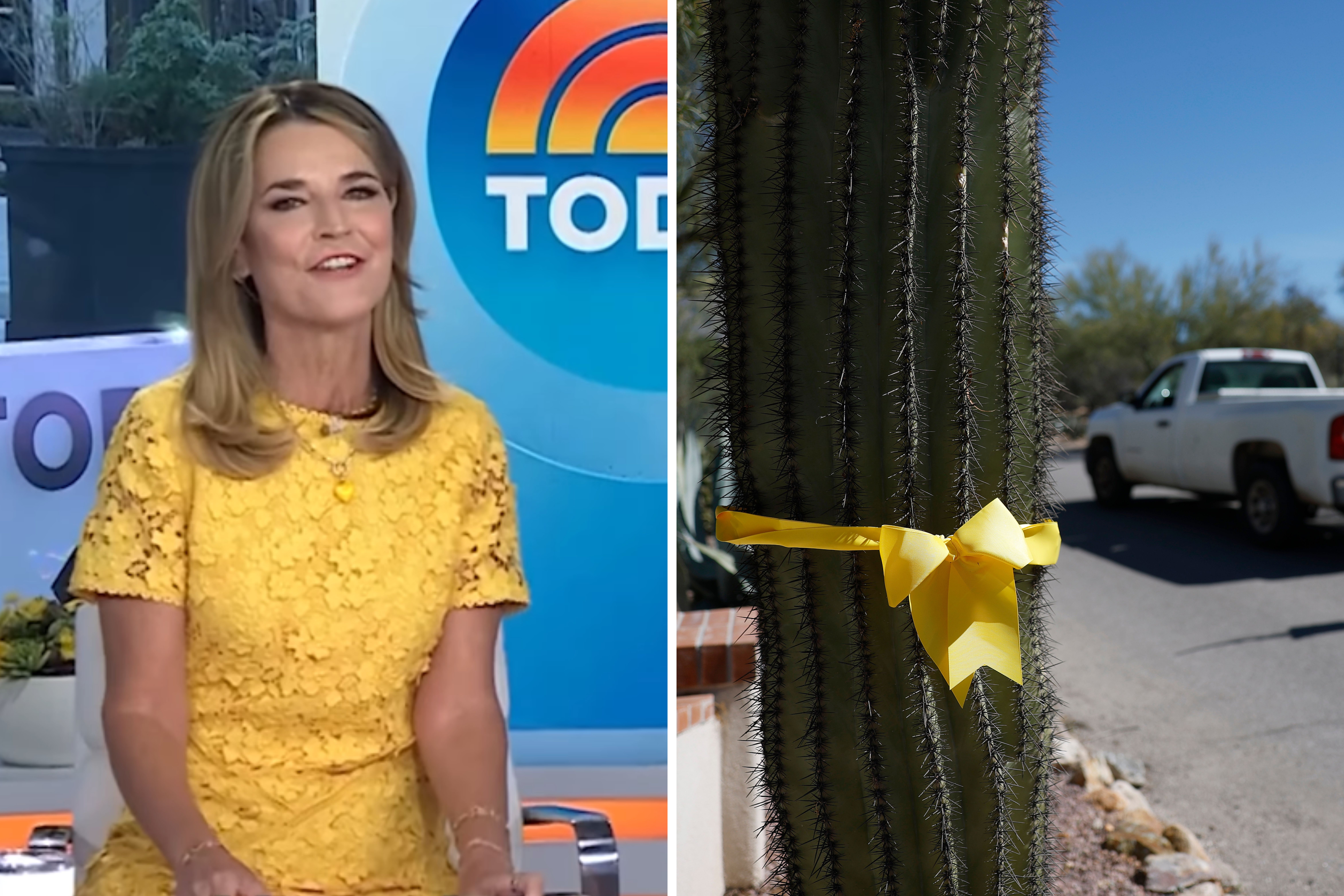 Why Savannah Guthrie Wore Yellow For Today Programme Return