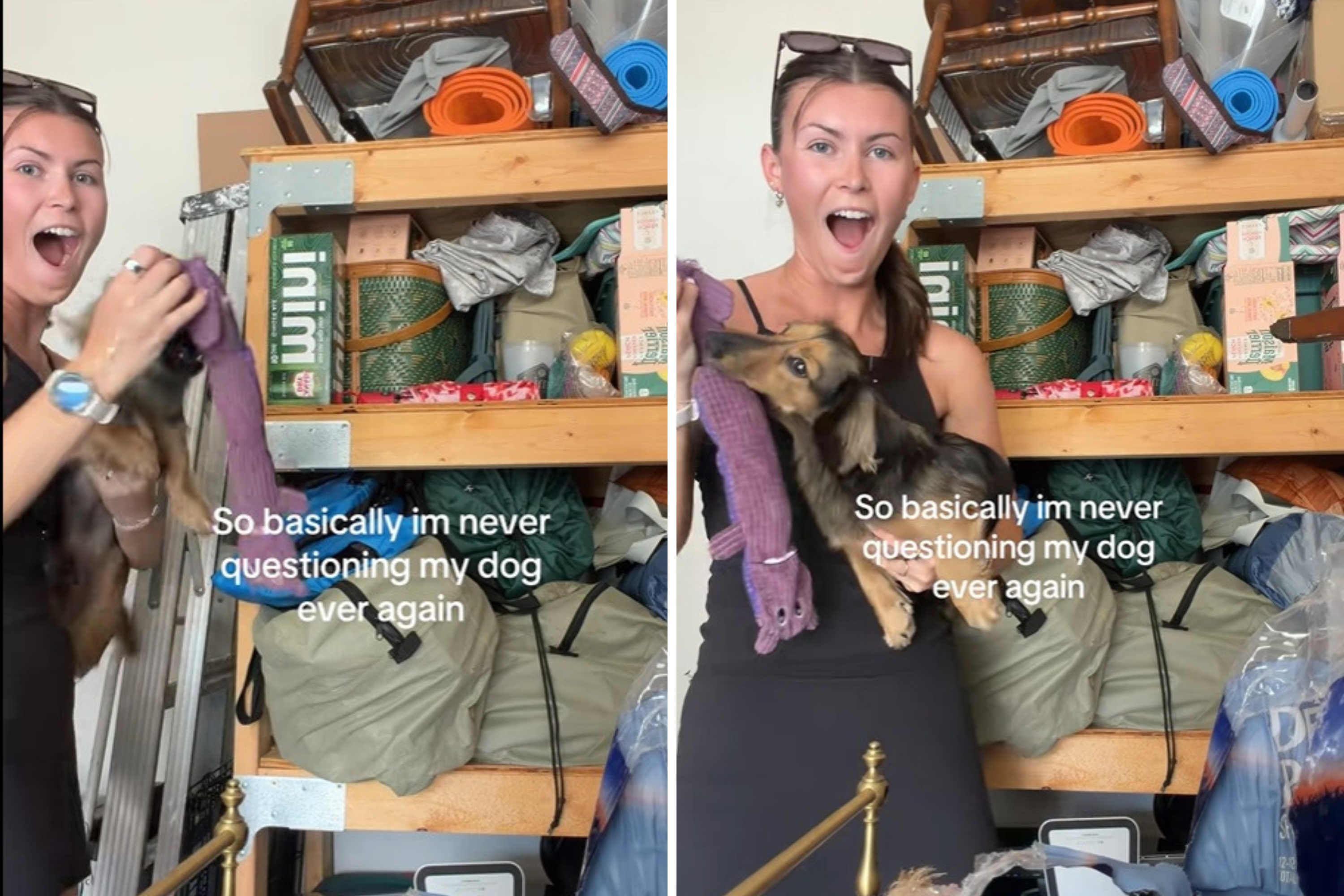 Woman Reveals Why She’s ‘Never Questioning’ Her Miniature Dachshund Again