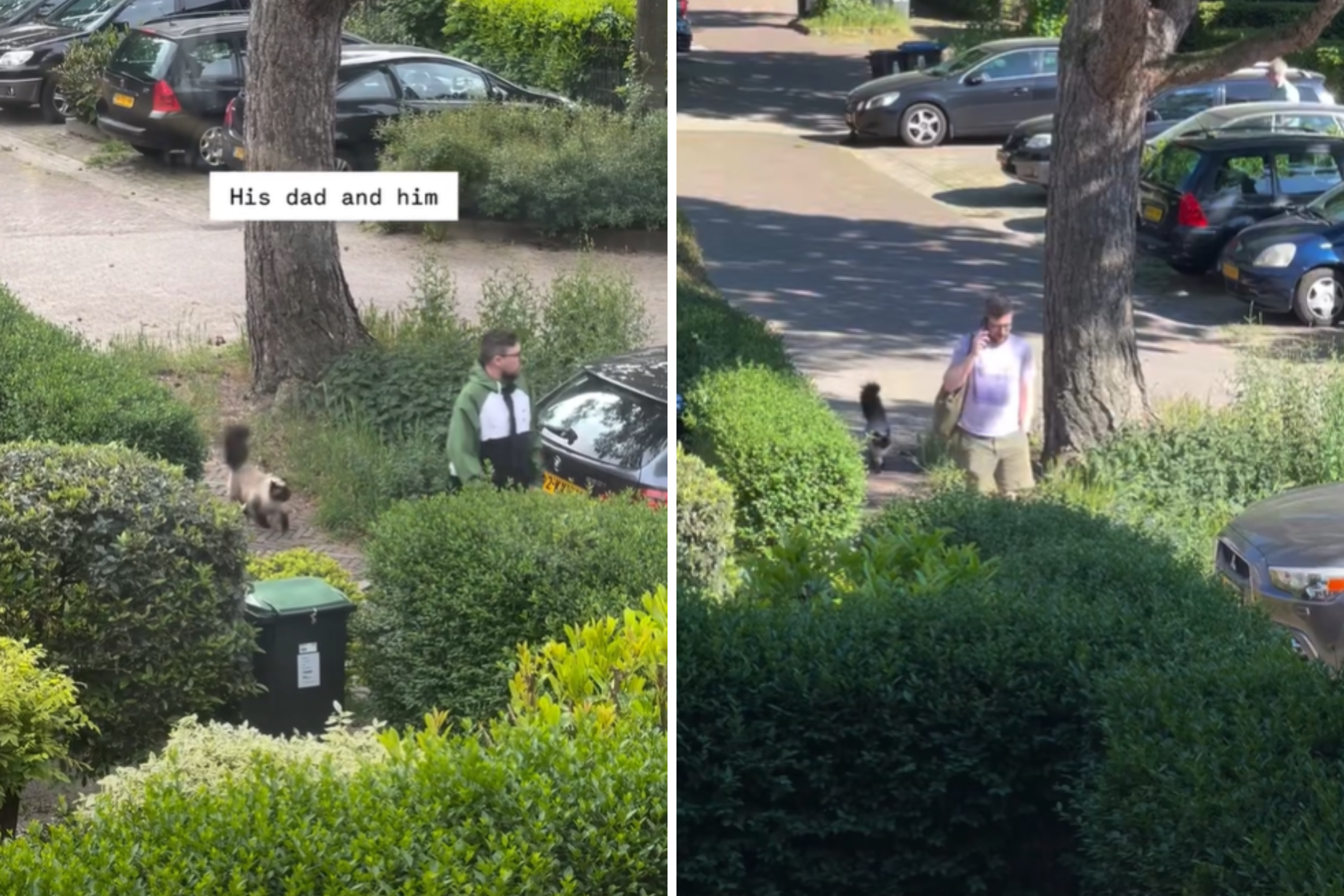 Hearts Melt at What Cat Does When Dad Leaves the House Each Day: 'Precious'