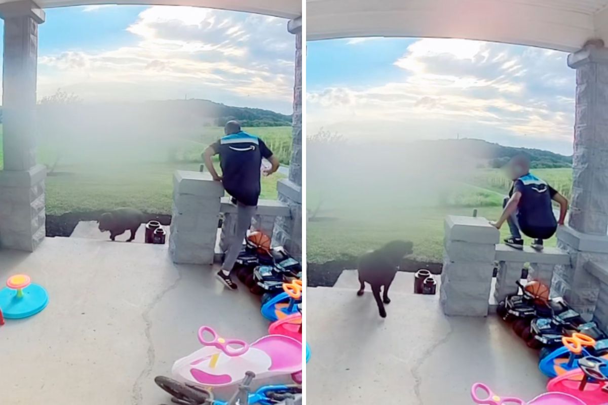 Doorbell Cam Captures Moment Delivery Driver &lsquo;Risked It All&rsquo; With Dog