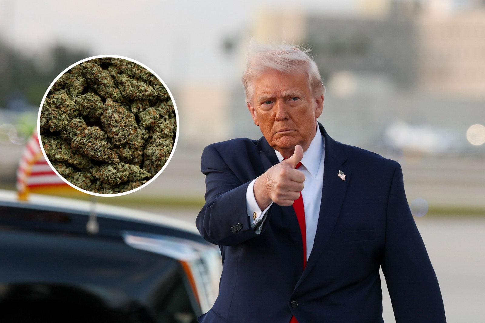 Map Shows States With Most Marijuana Arrests as Trump Makes Major Change