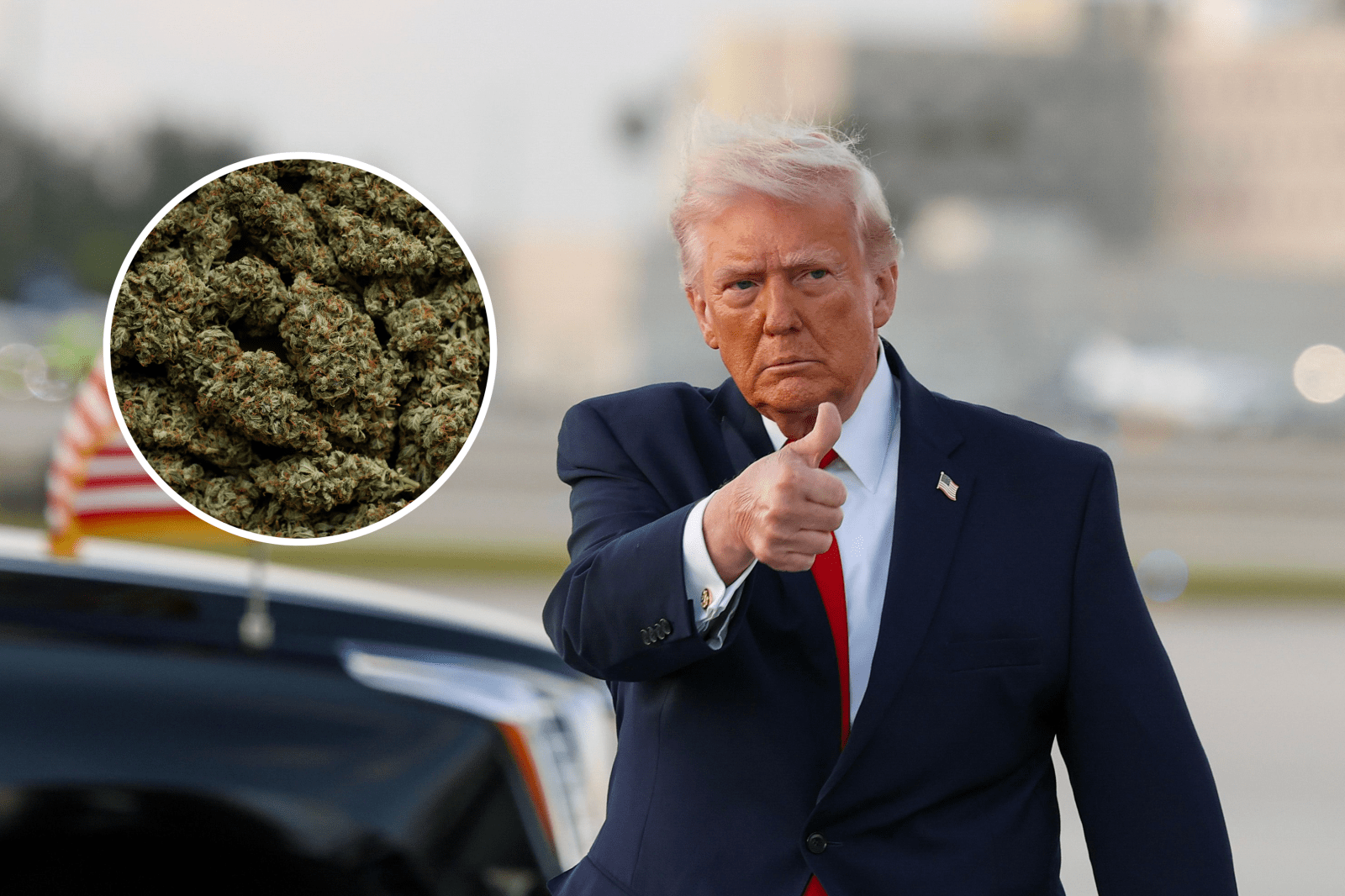 newsweek.com - Anna Skinner - Map shows states with most marijuana arrests as Trump makes major change
