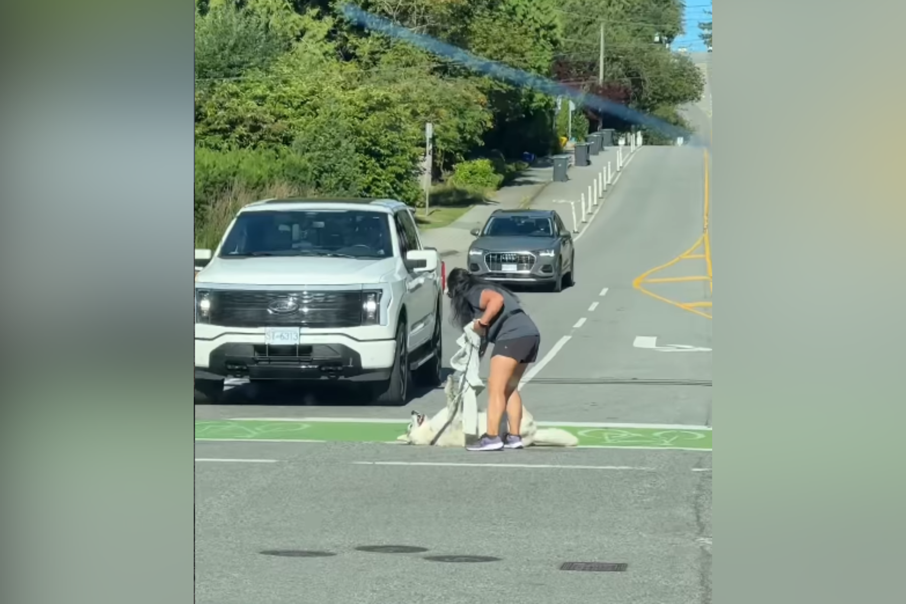 Millions in Stitches As Husky Chooses Worst Moment Possible To Try To Play