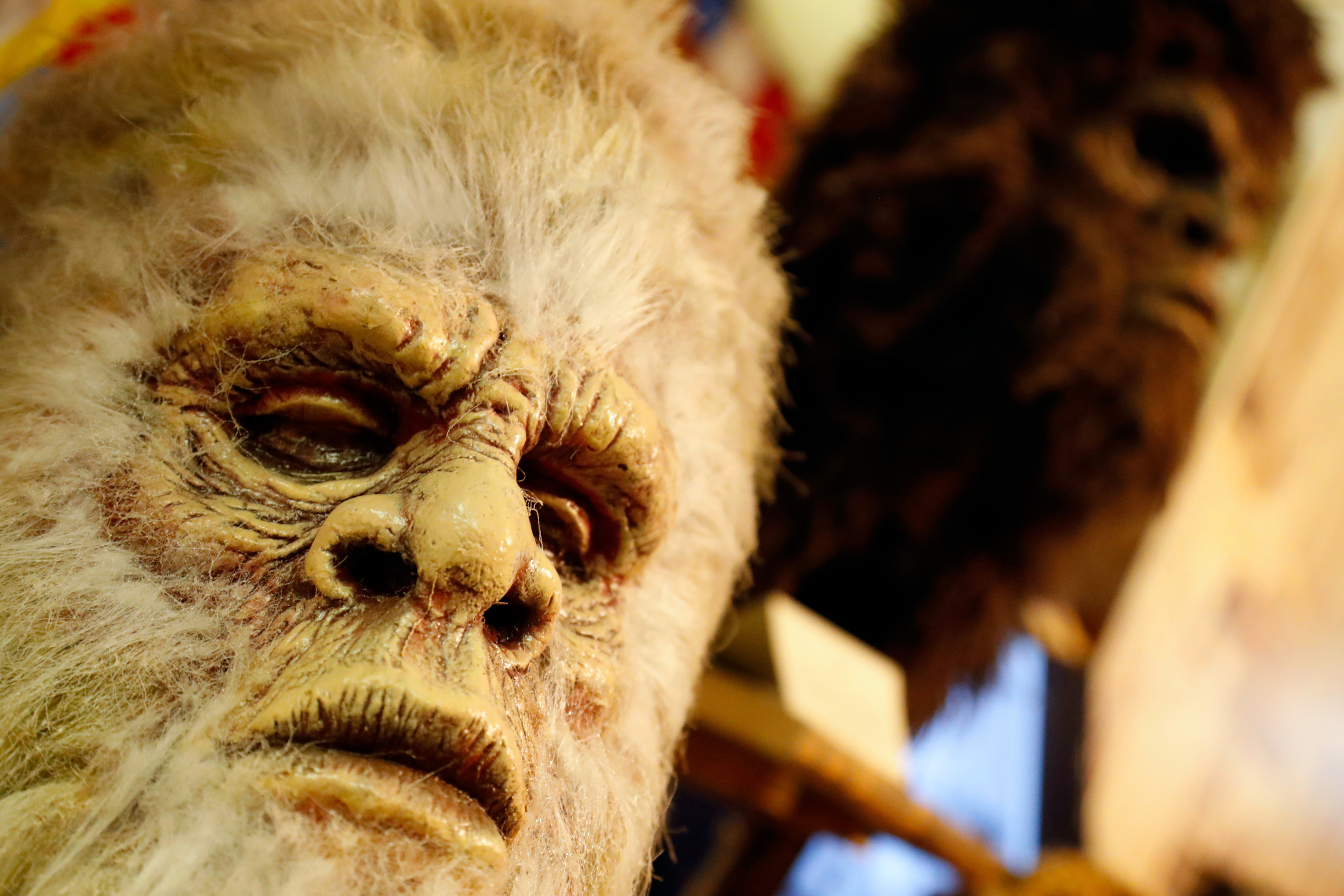 New ‘Bigfoot’ Sighting After Wave of Activity