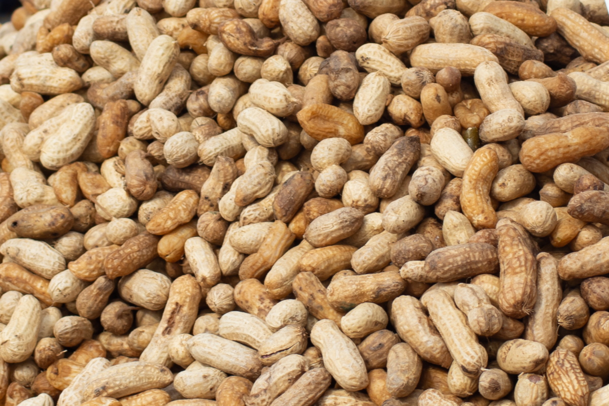 Peanut recall update for 19 states as FDA sets risk level