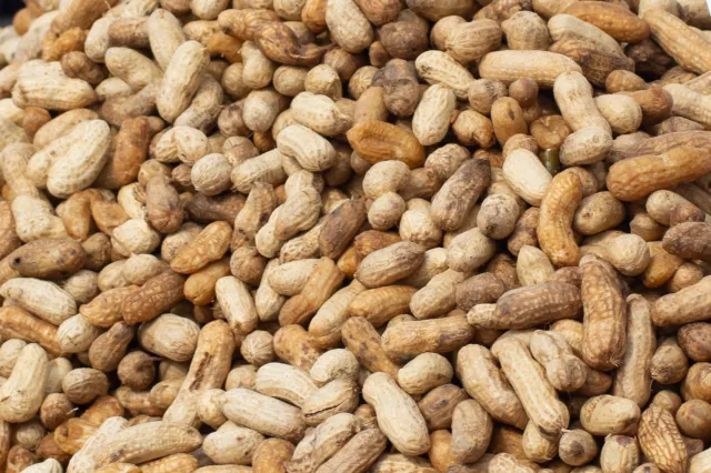 Salvador, Bahia, Brazil - February 2, 2026: Close-up of a large pile of shelled peanuts on a colorful table at a Iemanja festival in Bahia. - stock image
