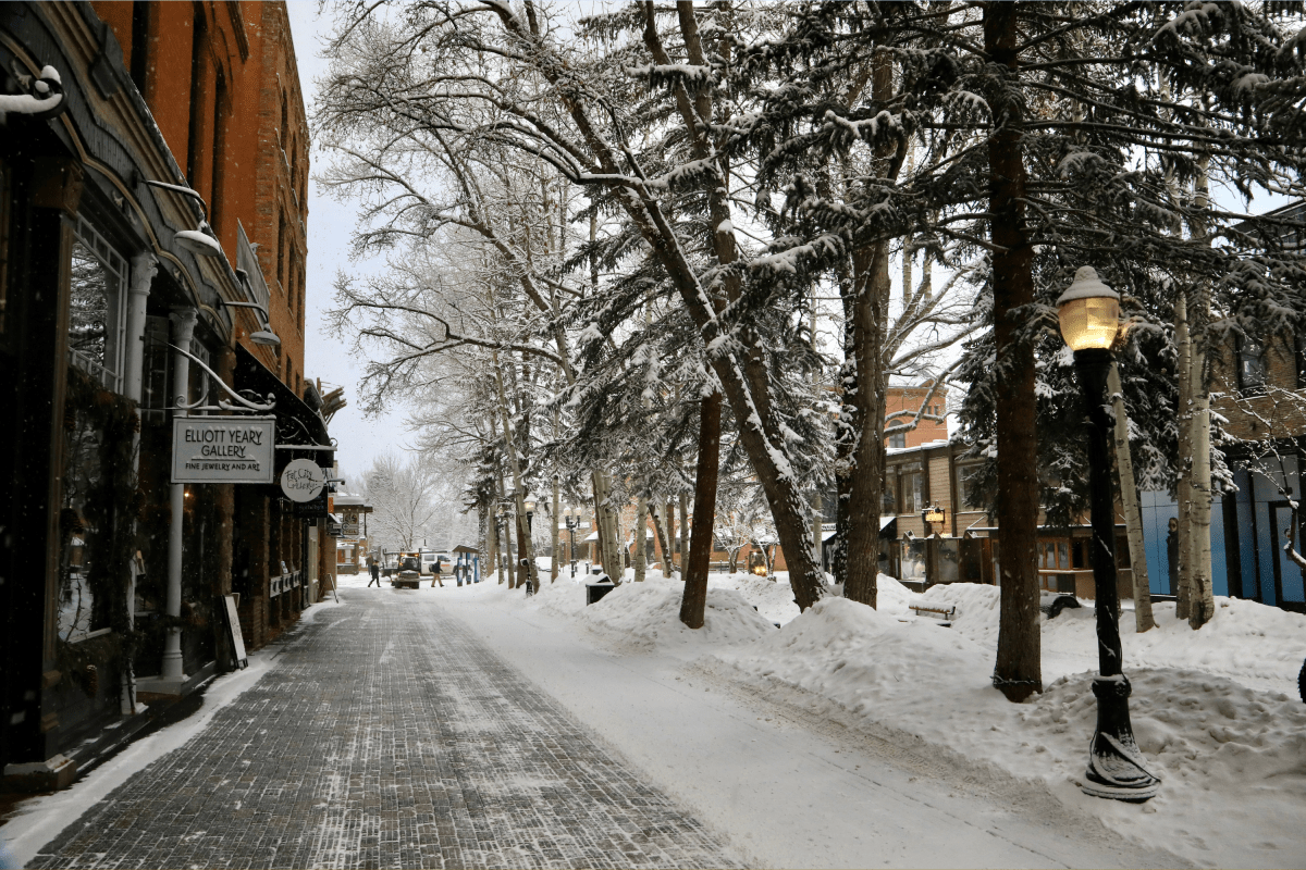 Snow, ice, wind, and freezing rain warnings issued—"avoid travel"