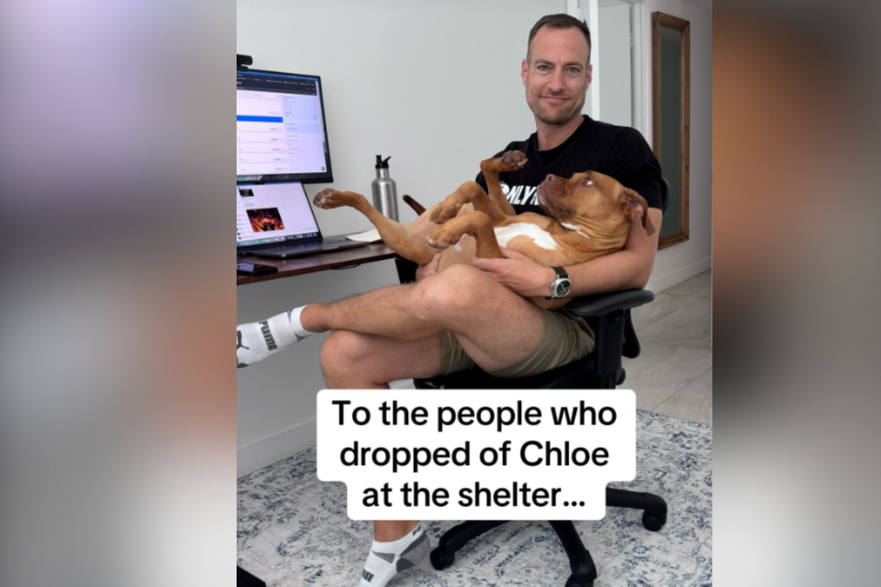 Adopter Has Message for Previous Owners Who Dropped Dog Off at the Shelter