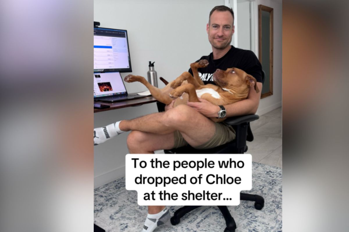 Adopter has message for previous owners who dropped dog off at the shelter