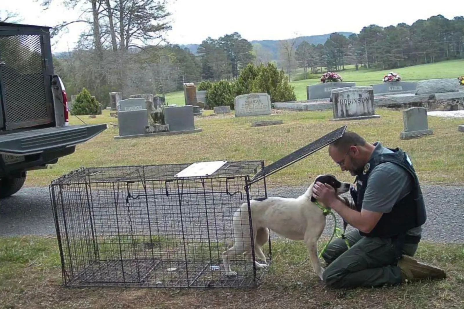 Rescuers Called to Dogs Abandoned in Cemetery—Then They Hear a Faint Cry