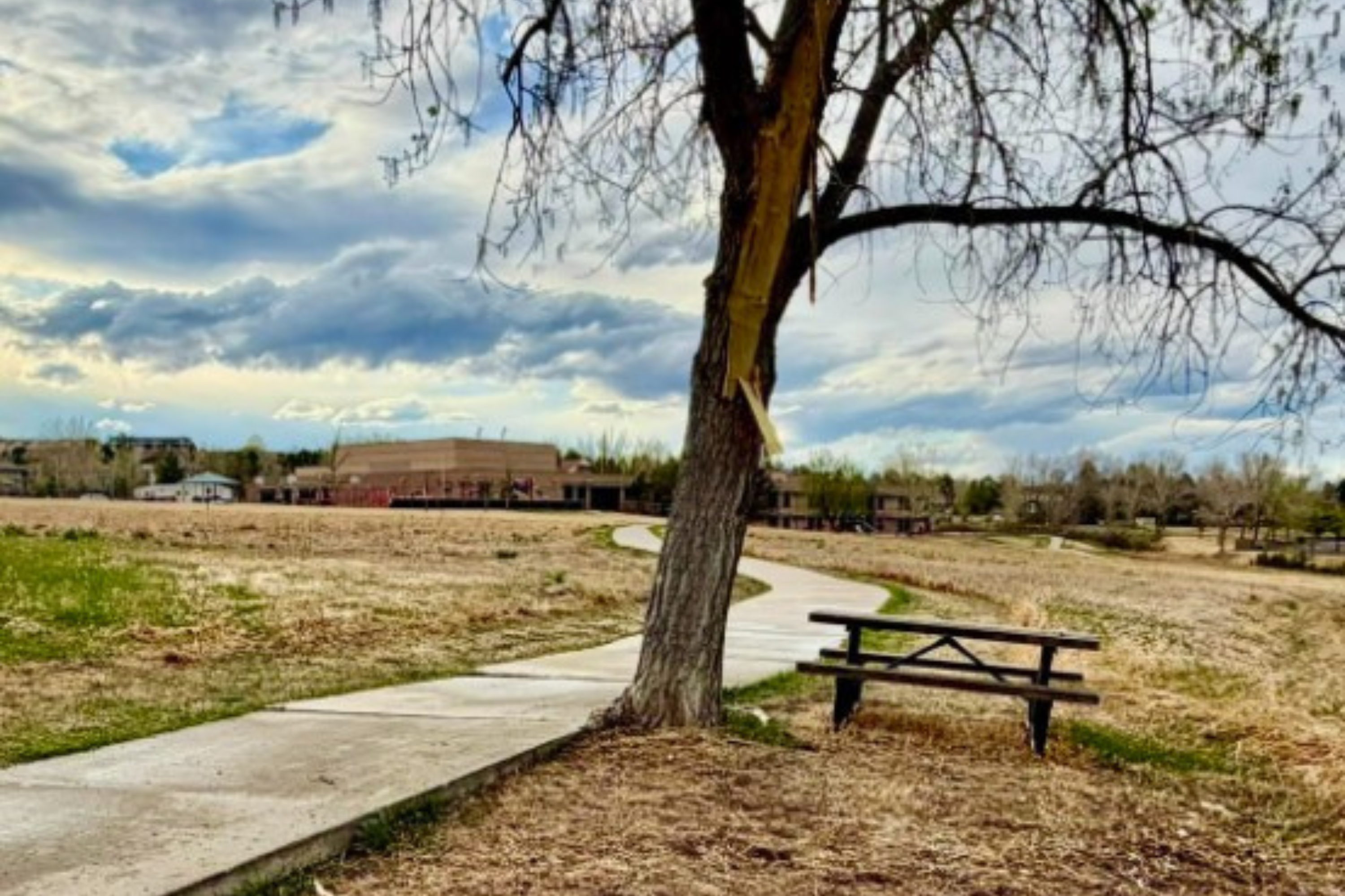 Woman Struck by Lightning Identified After Authorities Seek Help