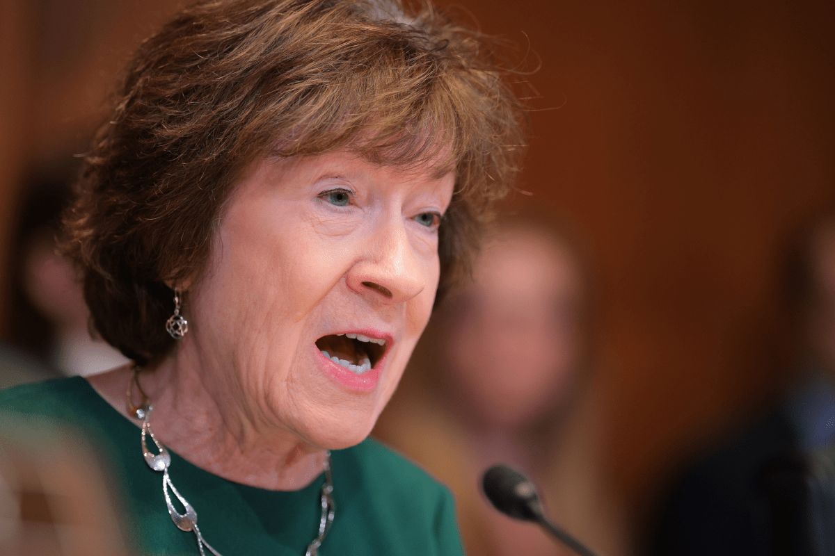 Susan Collins& 039; Chances of Losing Senate Seat Hit All-Time High