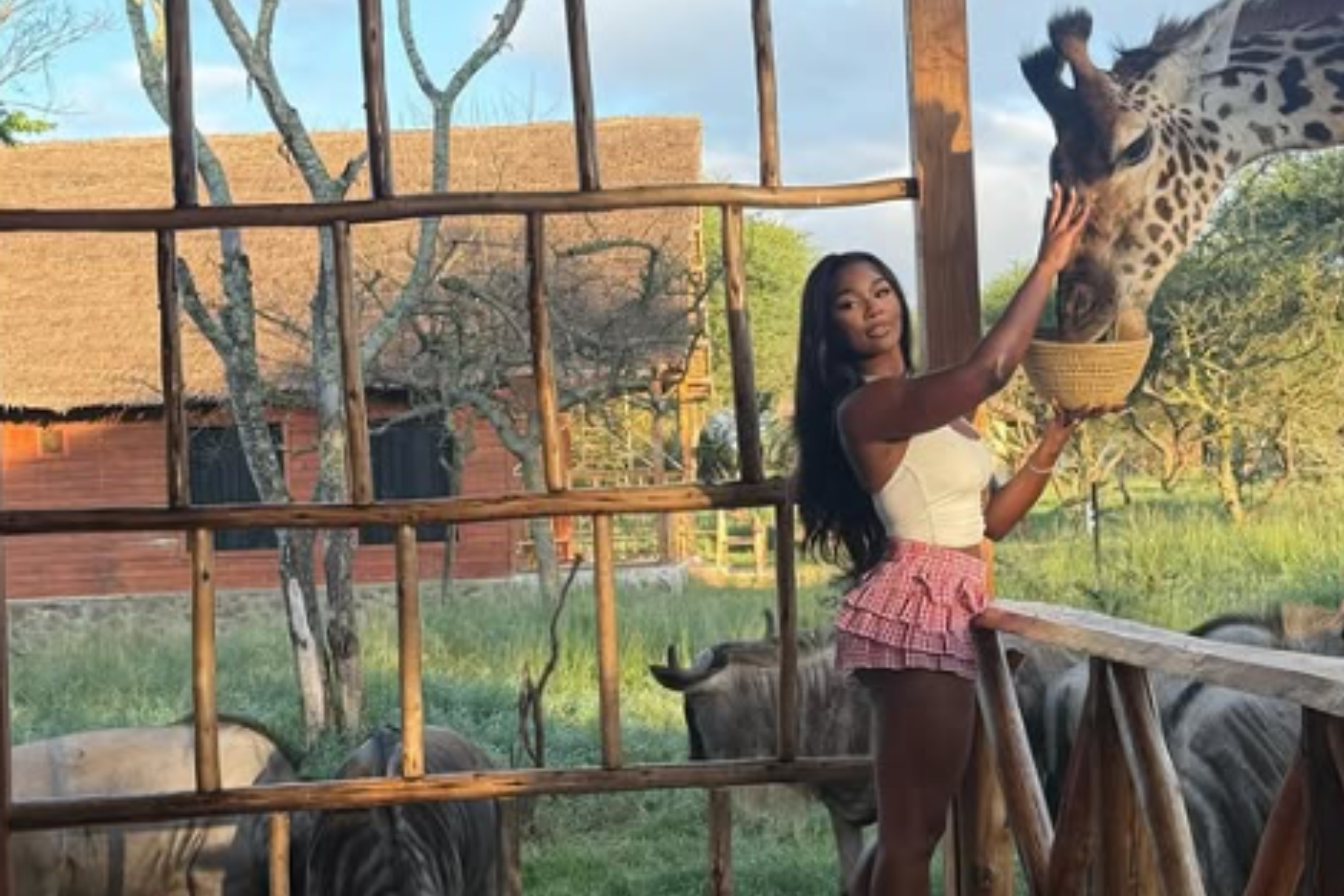 Ashlee Jenae's Family Raise $50K as Multimillionaire Fiancé Questioned