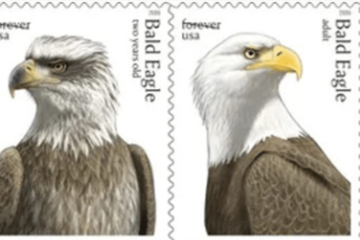 USPS Unveils New Stamps: What To Know