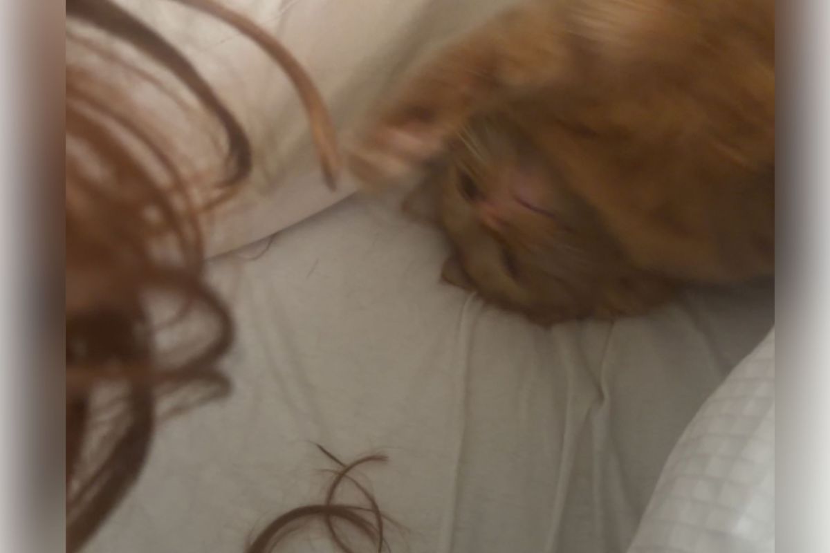 Woman Thinks Hair Shorter&mdash;Then Realizes What&rsquo;s Been Happening as She Sleeps