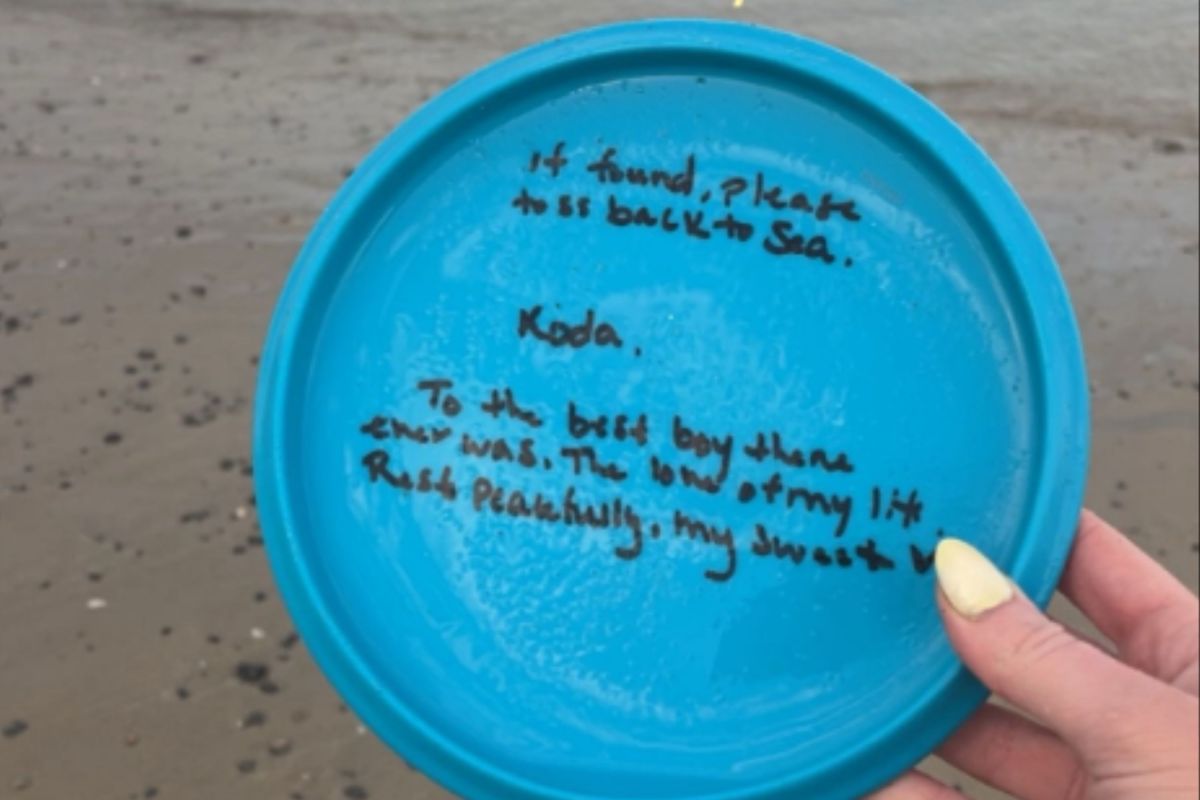 Woman Finds Dog’s Toy on Beach—Then She Reads the Back, Says ‘I’m Not Okay’