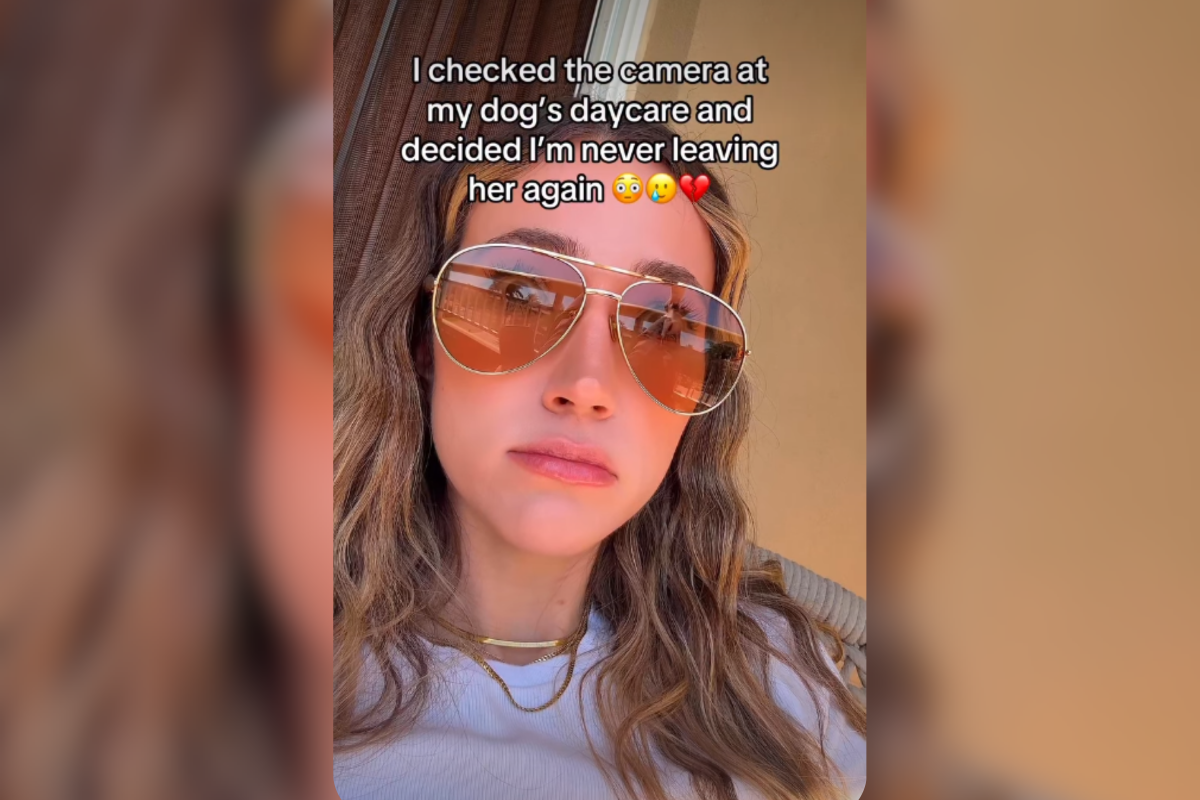 Dog owner checks day care camera, unprepared for “mom guilt” she feels