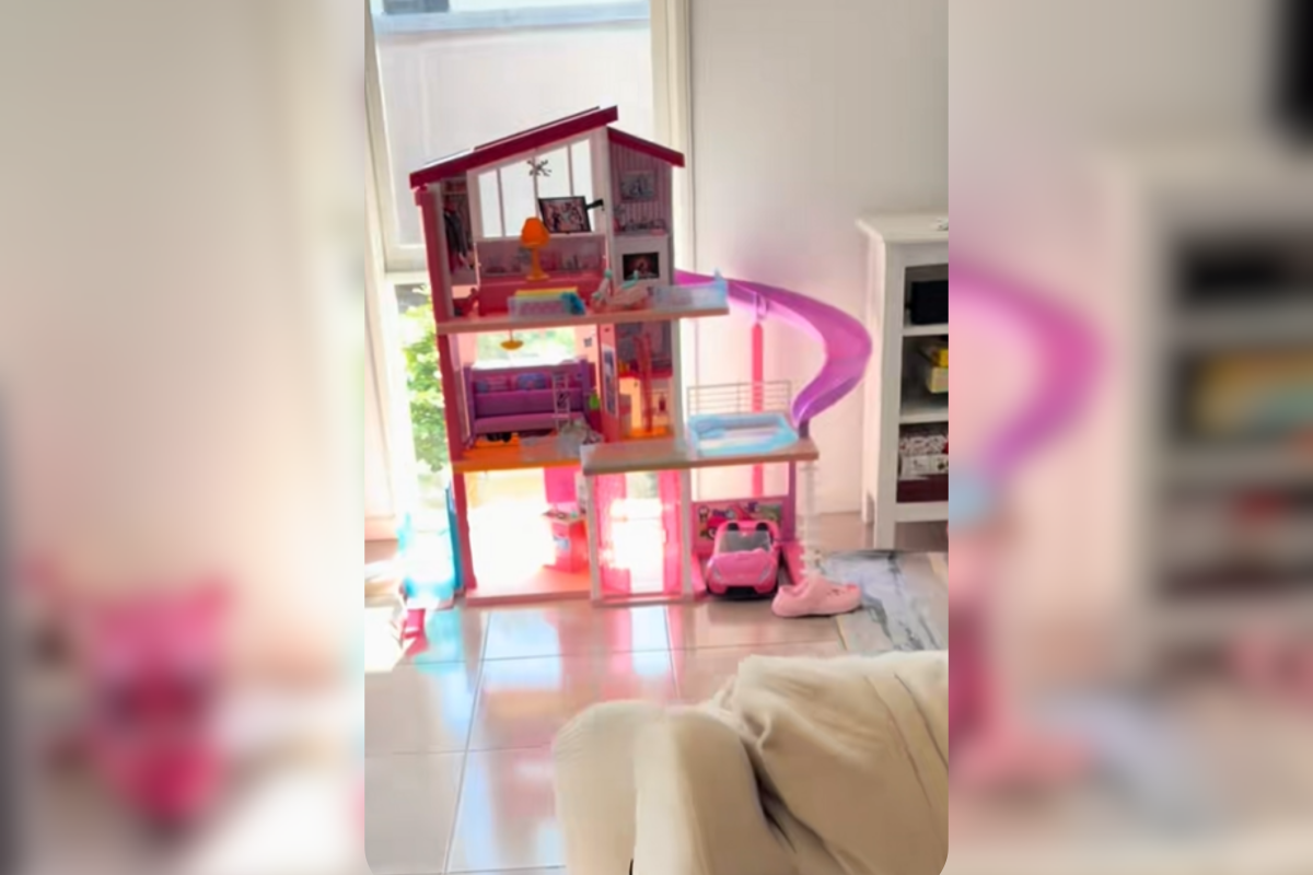 Woman Looked Everywhere for Foster Kittens—Can’t Cope With Where They Slept