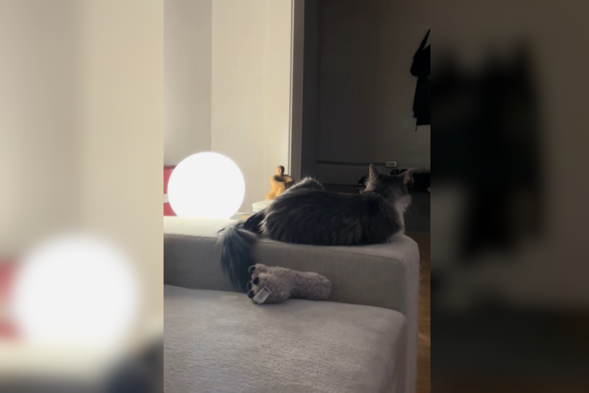 Woman Hears Terrifying Music and Fears the Worst, Hysterics Over Reality Woman Hears Terrifying Music and Fears the Worst, Hysterics Over Reality