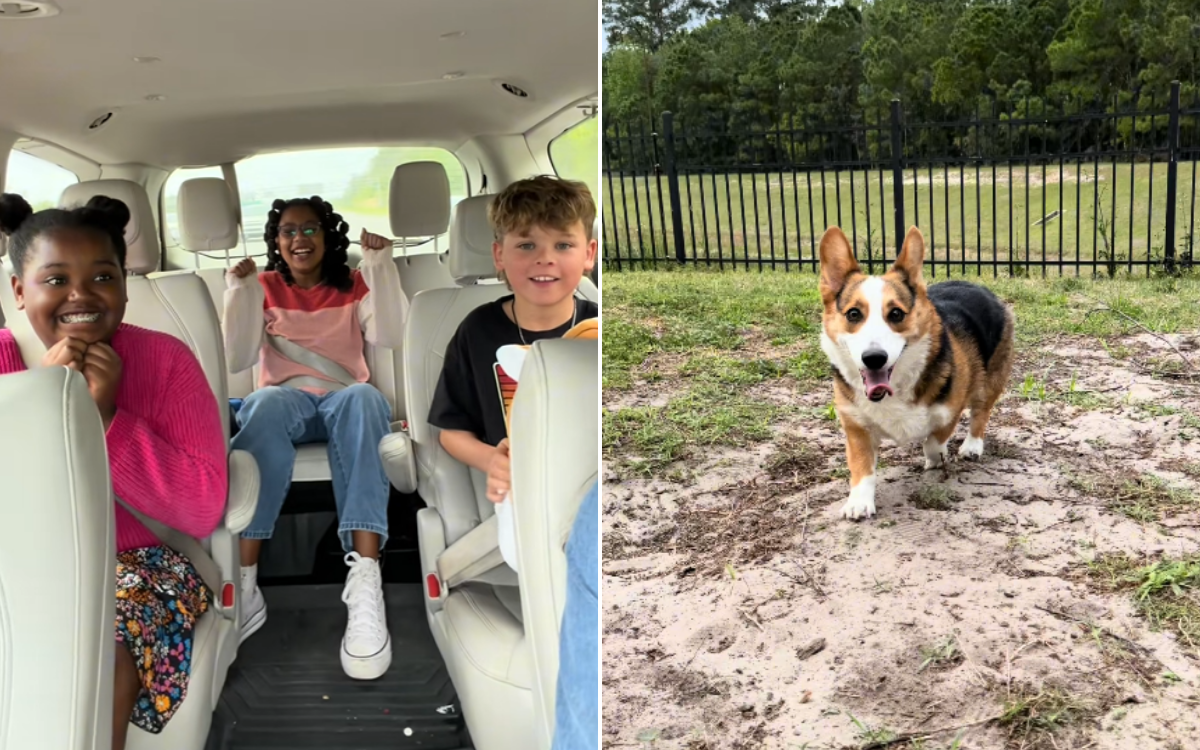 Mom Captures Kids’ Reactions As She Reveals They’re Adopting Rescue Corgi