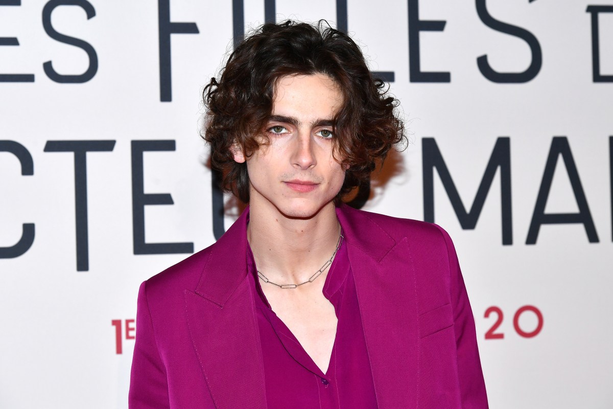 Internet Digs up Old Timoth&eacute;e Chalamet Comments on Opera, Ballet After Row