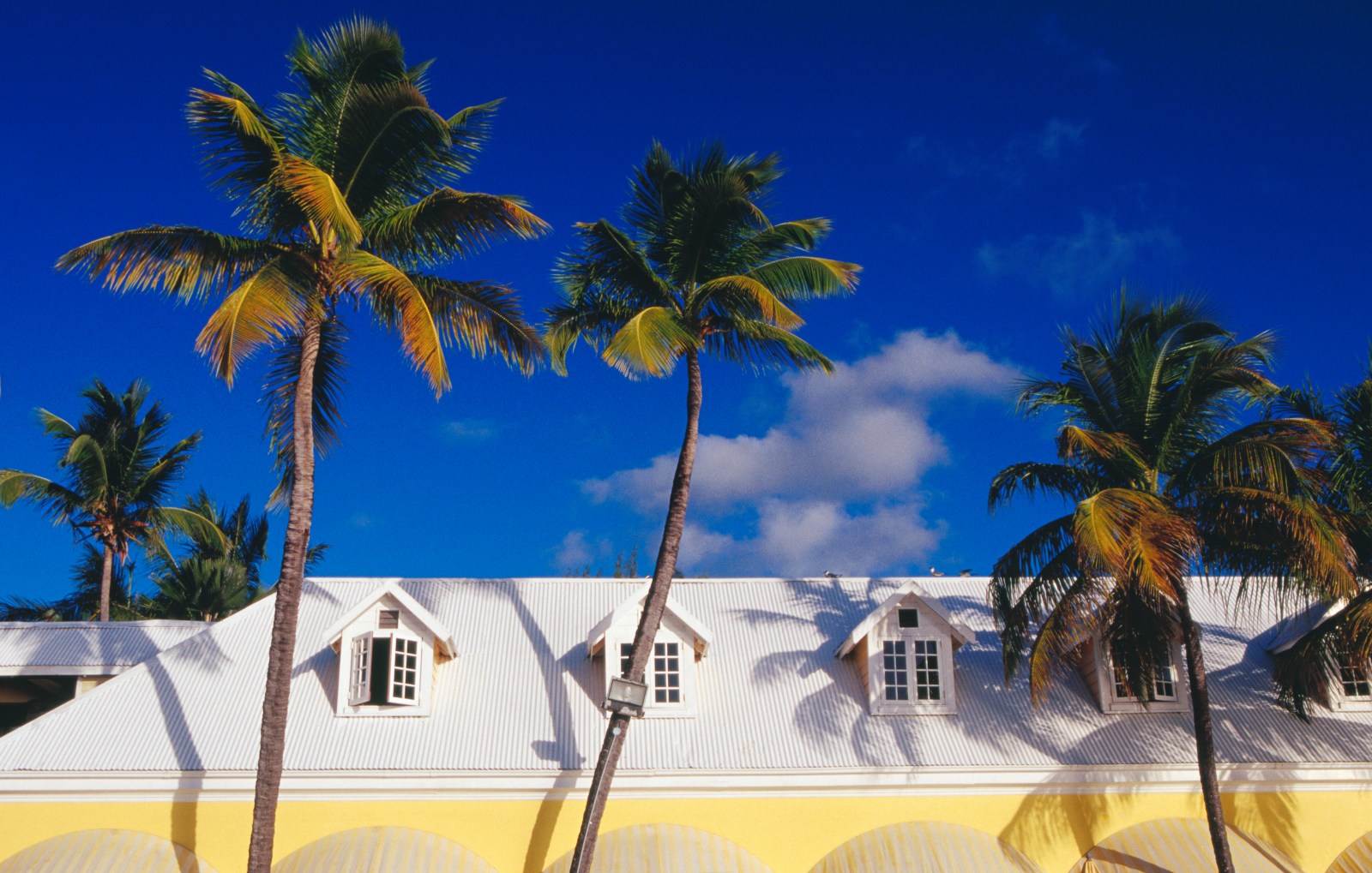 newsweek.com - Giulia Carbonaro - Wealthy Americans are looking to the Caribbean as their 'Plan B'