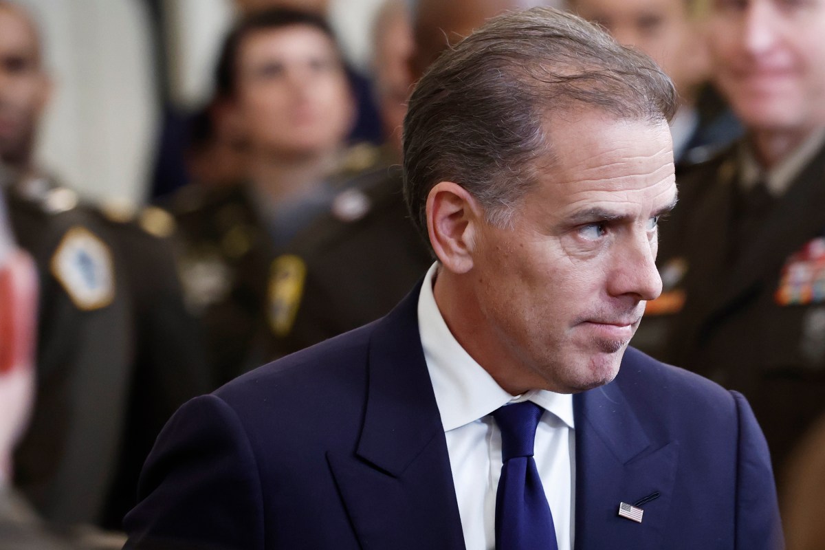 Hunter Biden's Cage Match Challenge to Trump Sons Sparks Uproar Online