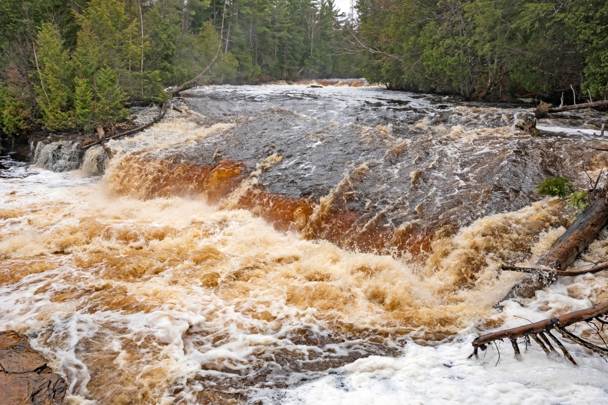 Flash Flood Emergency: Time to Move to Higher Ground in Michigan