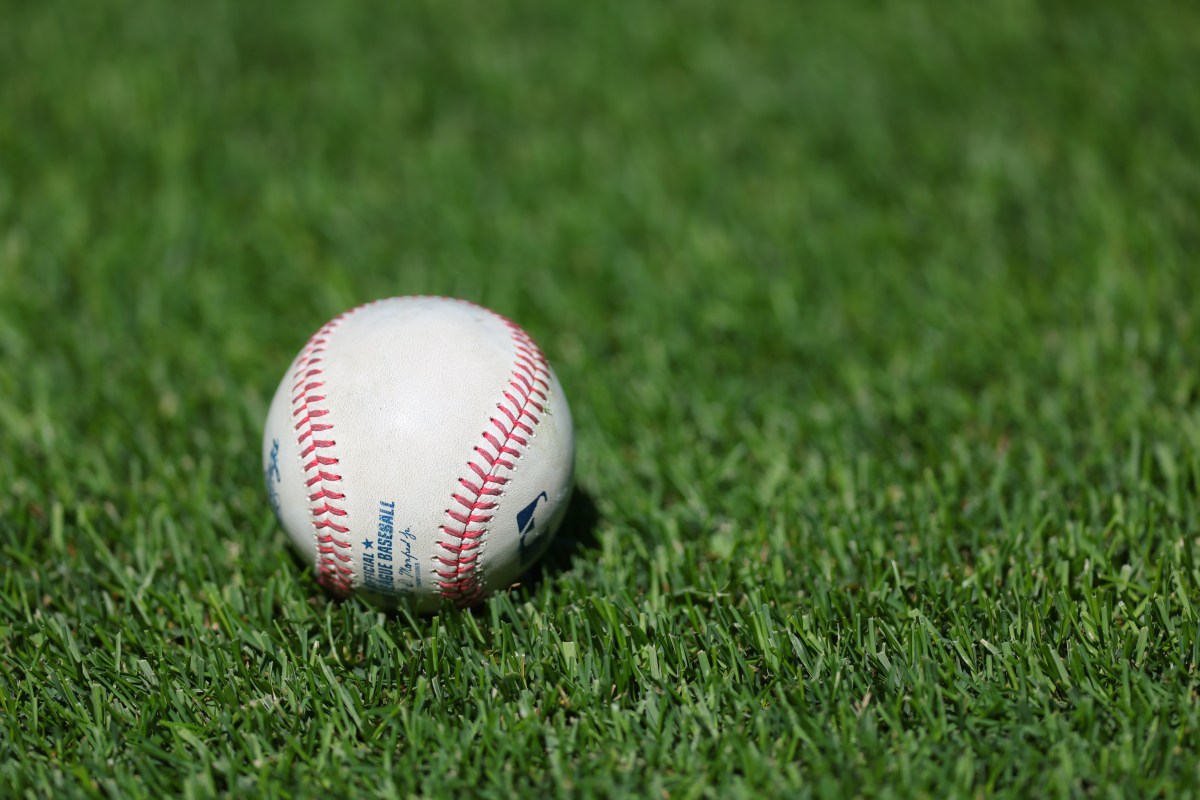 Baseball Umpire in Intensive Care After Being Struck in Head by Bat